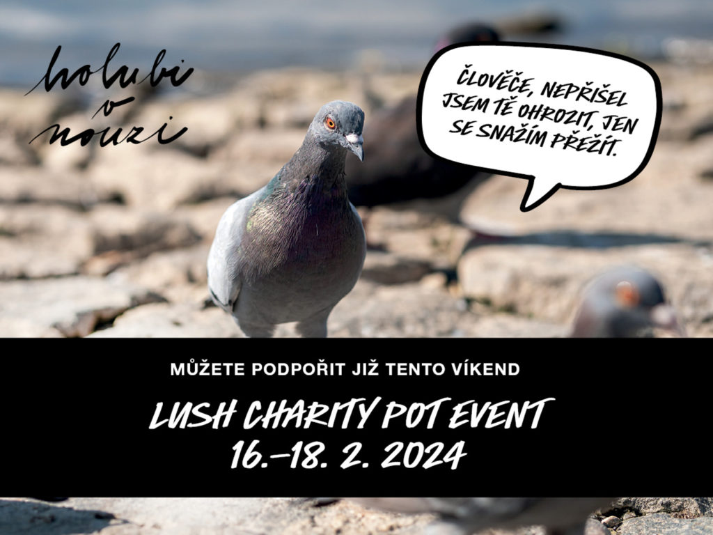 LUSH PALLADIUM: Charity Pot Event od 16. – 18. 2. 2024