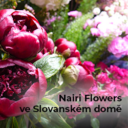 250x250 Nairi