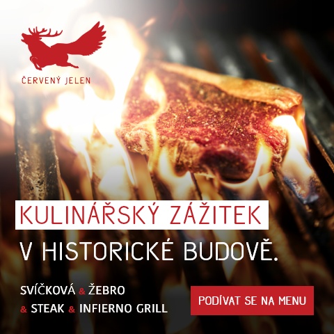 17192313297952008332652495968107