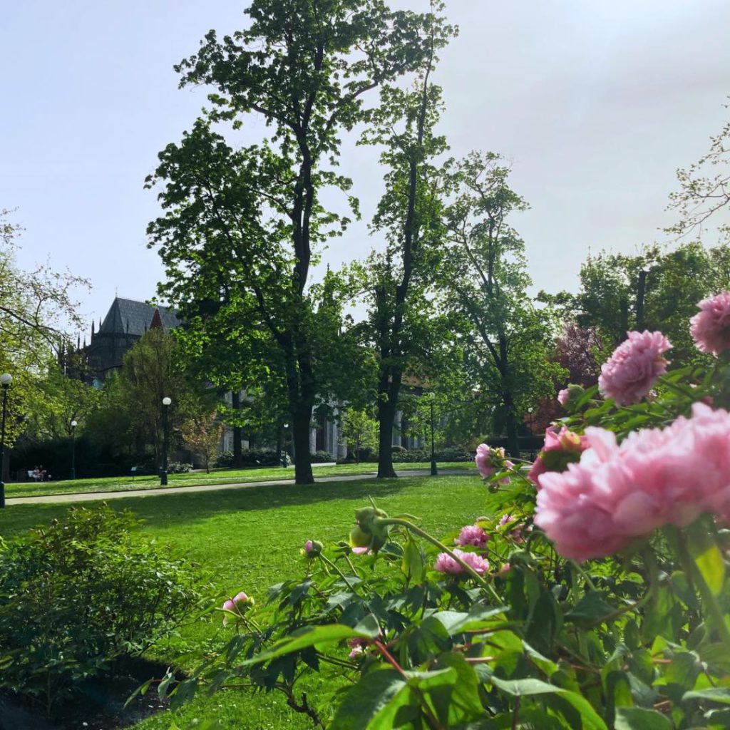 Královská zahrada Pražského hradu se promění v jedinečnou Garden Party