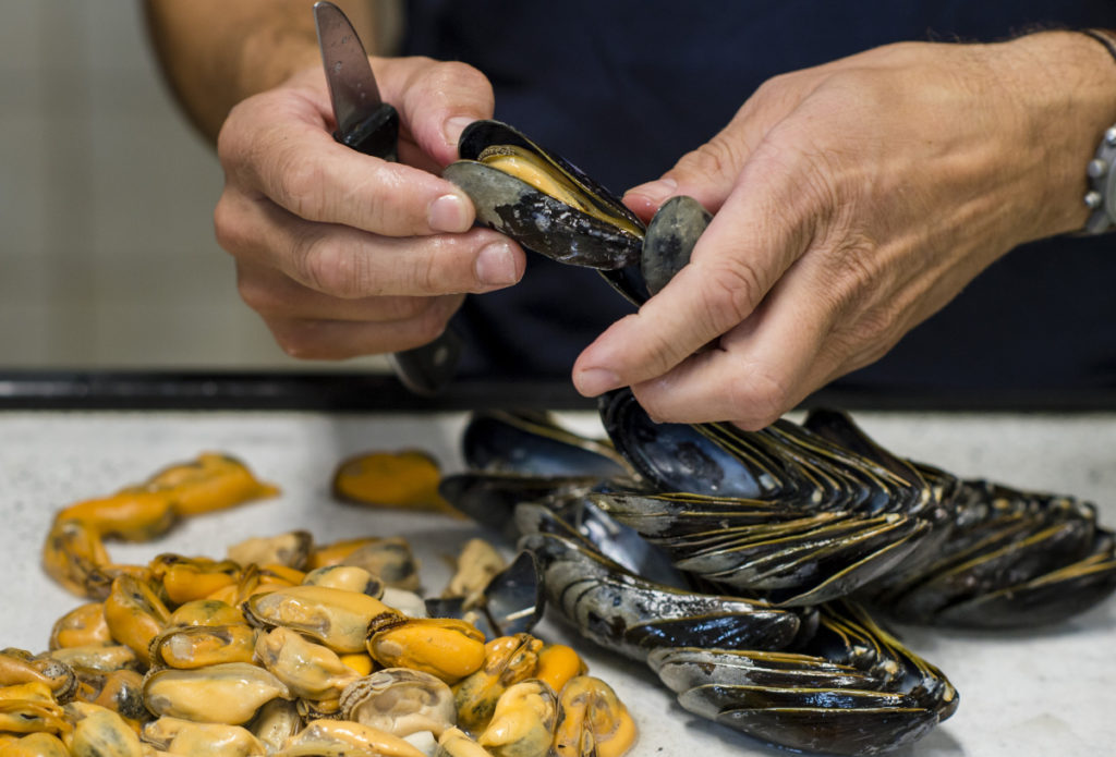 Czech Mussel Week 2024: Mušle na talíři i v centru Prahy