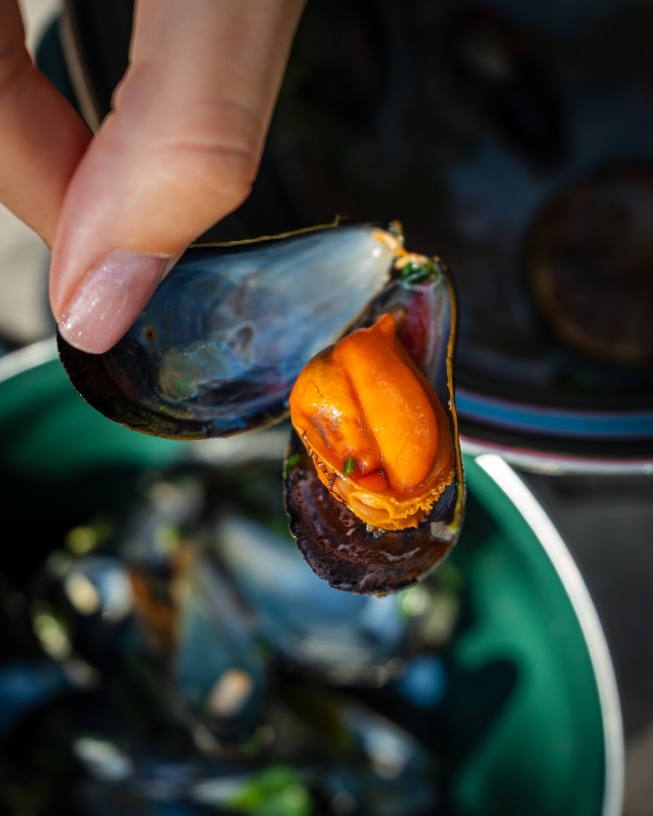 Czech Mussel Week 2024: Mušle na talíři i v centru Prahy