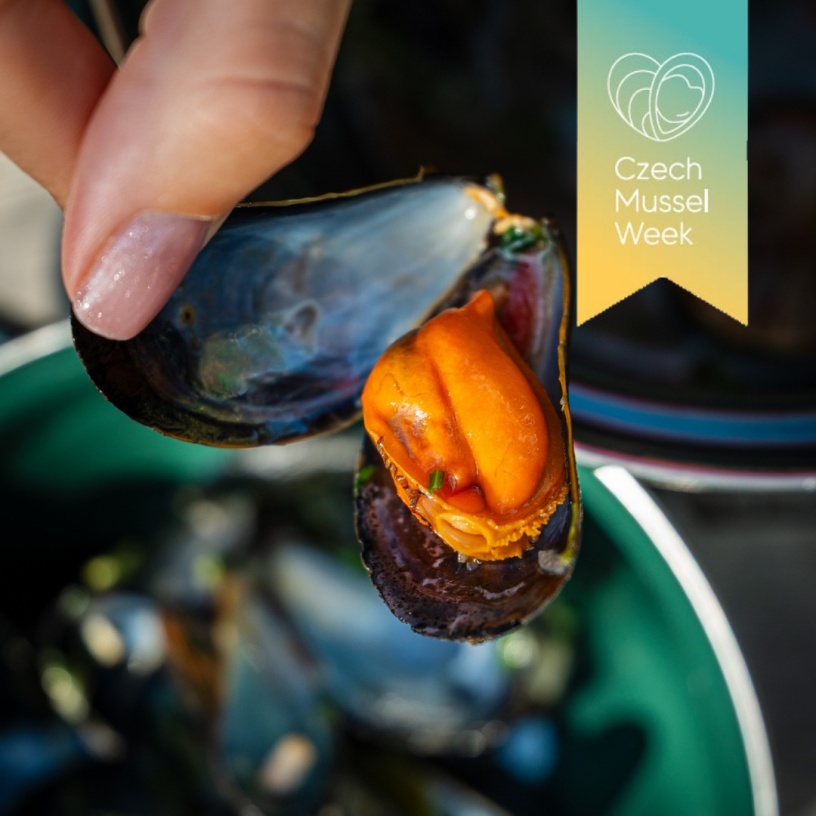 Czech Mussel Week 2024: Mušle na talíři i v centru Prahy